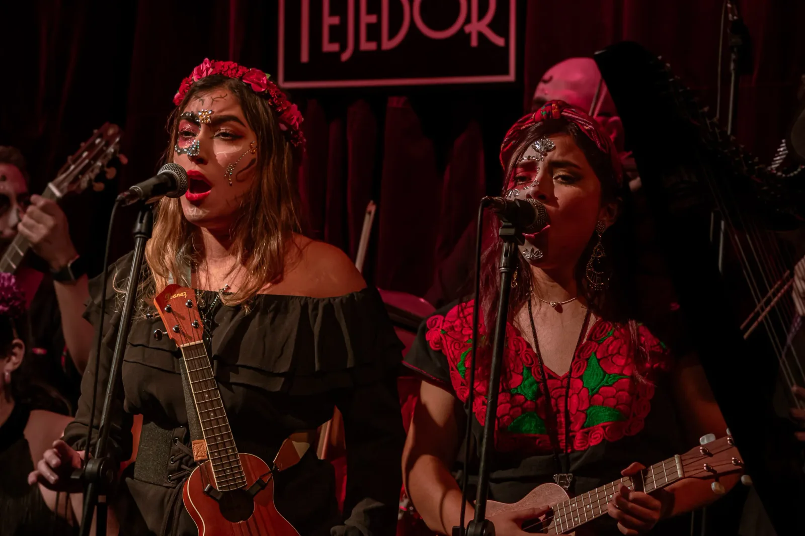 concert photography by JRMGraphy